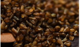 麻豆功效与吃法,功效揭秘与美味吃法分享